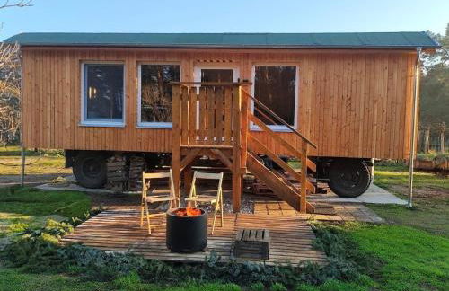 Tiny House am Waldrand - Foto 1