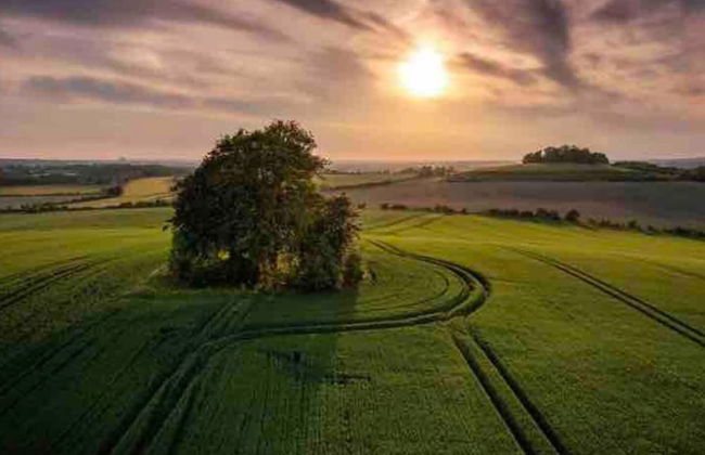 Cottage in Area of Outstanding Natural Beauty - Foto 50