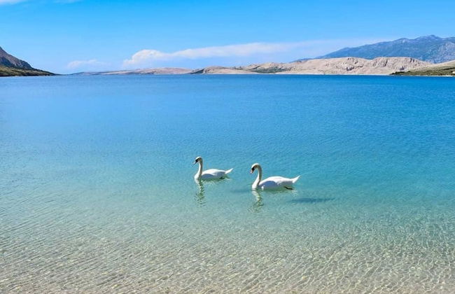 1 Bed Flat - Sleeps 2 - Parking - Wifi - Foto 10