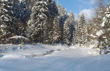 Domek pod Groniem - Photo 12