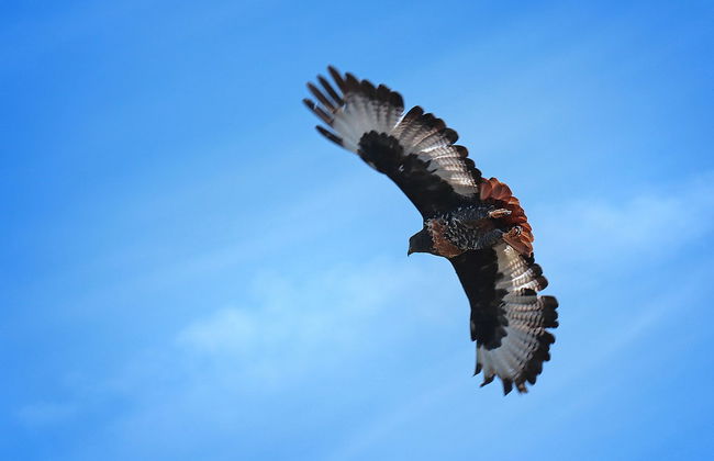 Krisjan's Lodge @ Oubaai - Photo 24