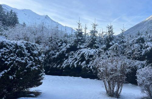 All Nature Duplex - Happy Rentals - Foto 27