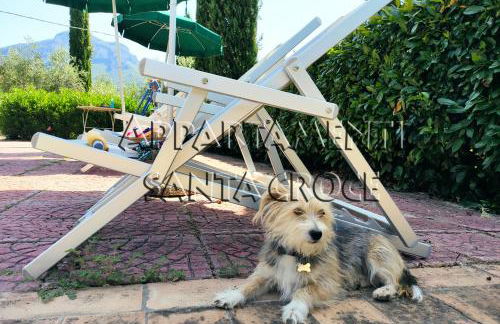 Appartamenti Santa Croce - Photo 25