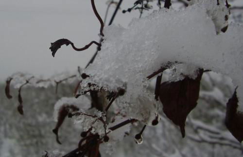 Agritur Agrihouse - Foto 40