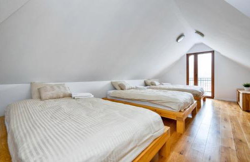 Cozy Home In Donja Batina With Sauna - Photo 31