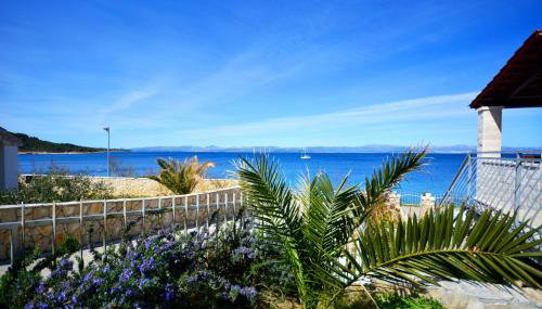 Schönes Ferienhaus direkt am Meer - Foto 5, Garden view