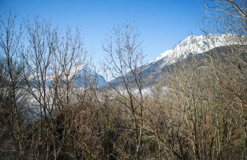 La Tour de l'Enversin - Foto 51