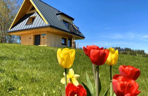 Domek Tatry - Stacja Wierchowa 972 m - Foto 3