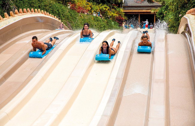 Siam Park, parque acuático - Foto 2