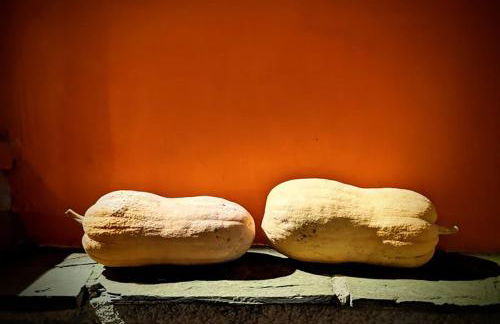 Terra Del Bosco Agriturismo - Foto 34