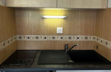 Ski Piau engaly 50 m des pistes de ski et du cœur de station - Foto 8