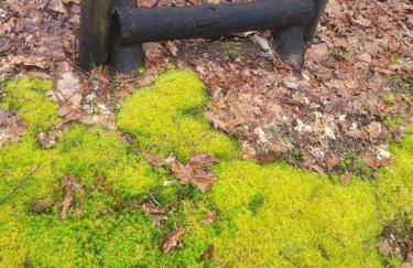 CHALÉ, Pedra, Isolada, Natureza, Rio - Ecoturismo - Foto 10