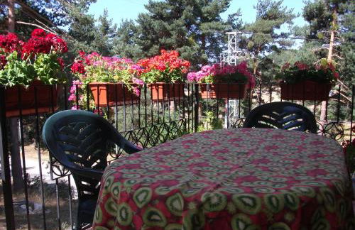 Fuente del Pino Cañón de Río Lobos - Foto 19