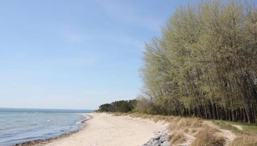 Ferienwohnung mit Terrasse in ruhiger Lage - Haus Südperd FeWo Strandwinde - Foto 3