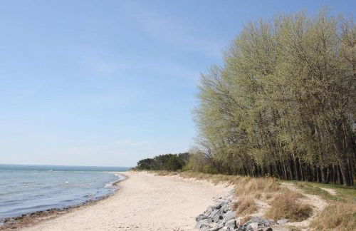 Schicke FeWo mit Terrasse, gratis Nutzung vom AHOI Erlebnisbad und Sauna in Sellin - Haus De niege Wech FeWo 01 - Foto 2