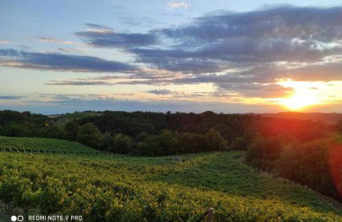 Oasi del Monferrato - appartamento rosso - Foto 17