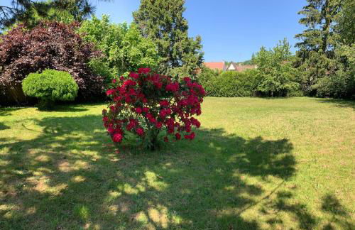 Maison spacieuse et paisible - 4 chambres, parking, wifi - Foto 12