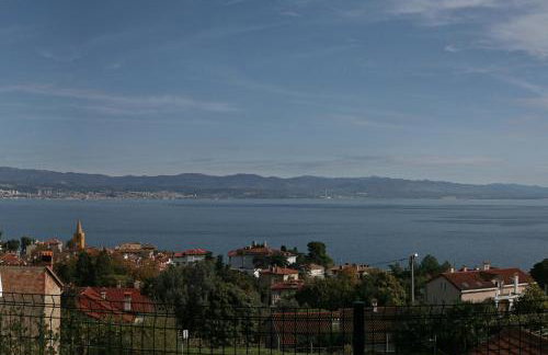 Apartman Halugica - Photo 6