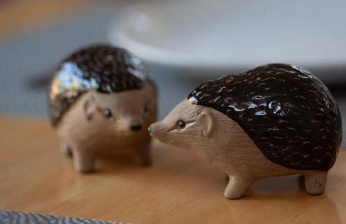 Hedgehog Cottage - Foto 36