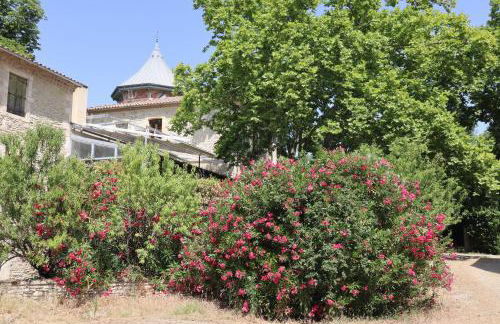 Château de Livière - Photo 12