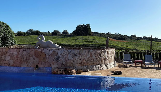 Quinta dos Vales Wine Estate - Foto 2, Imagen principal