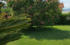 La CASA degli IPPOCASTANI - Photo 28