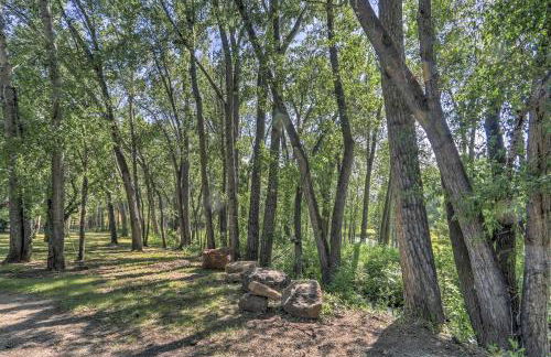 Peaceful Mancos Hideaway Only 1 Mi to Downtown! - Foto 18