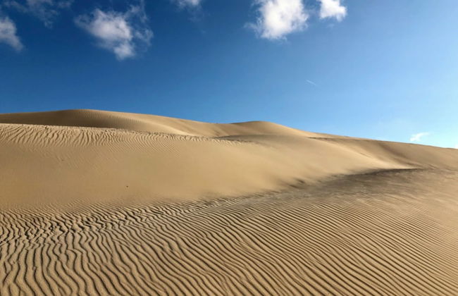 Beautiful Coastal Retreat in Punta Paloma, Tarifa - Foto 16