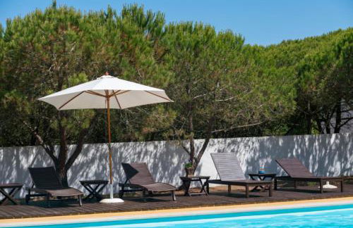 Monte do Papa Leguas - Foto 1