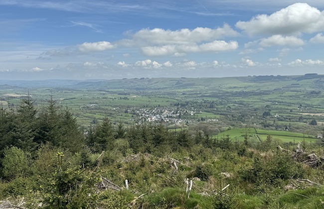 Bronfelin & Troed-y-rhiw Holiday Cottages - Foto 36