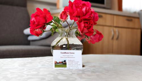 Ferienhaus Landhaus Loose - Foto 5