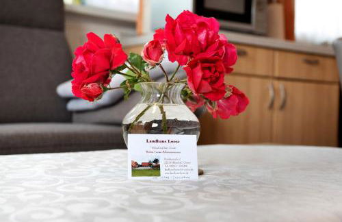 Ferienhaus Landhaus Loose - Foto 5