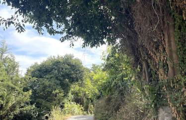 Casa Cerrajero - Photo 30