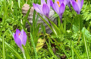 The Swallows Rest, Avebury - Foto 31