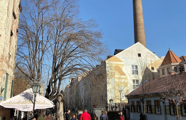 Skadarlija House of the Greats - Photo 36