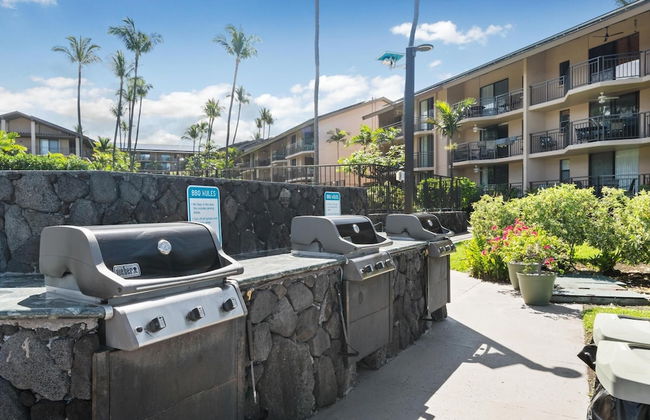 Big Island Kona Makai 4205 1 Bedroom Condo - Photo 30