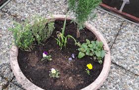 Wohn Eitel, Erholung pur - Foto 8