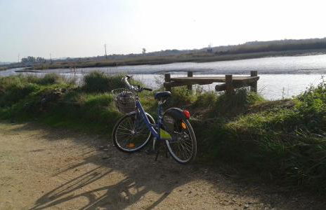 Bandeira'S house - Foto 38