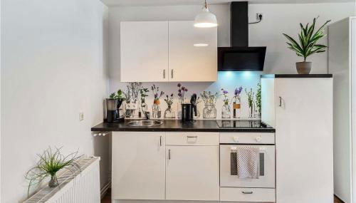 Pet Friendly Apartment - Photo 5