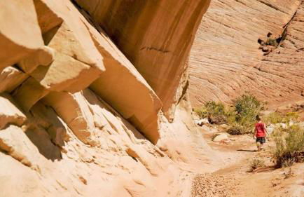 Escalante Escapes Desert Willow- Loft Escape - Foto 24