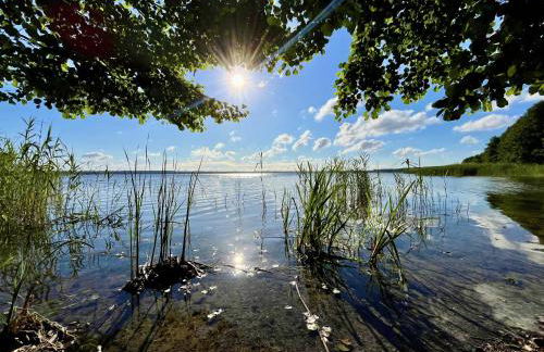 Haus 2 am Grimnitzsee - hochwertiges Design, mit eigenem Garten und nah am See - Foto 11