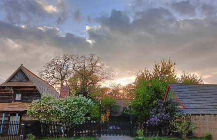 Gniazdo w Felicjanowie - Foto 20