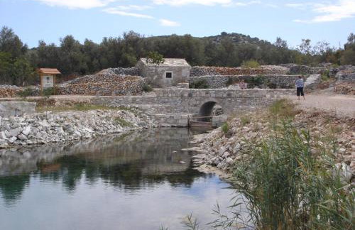 Apartments Pinus - Photo 45