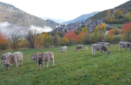 CASA DONDELA - Foto 31
