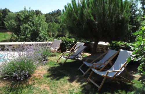 A Lagosta Perdida - Foto 8