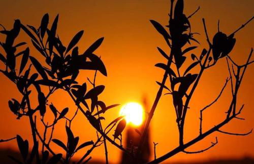 DREAMCATCHER - Foto 28