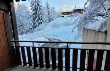 Studio rénové La Clusaz - Foto 10