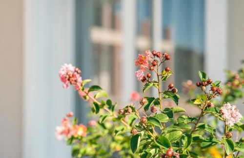 Agriturismo Maria Vittoria - Foto 114