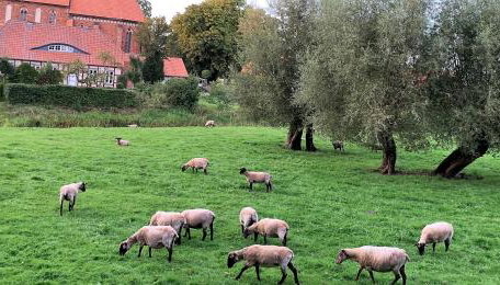 Apartment im ART.Quartier - Foto 3, Garden view