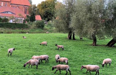 Apartment im ART.Quartier - Foto 3